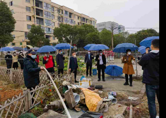 浙江龙港市全面启动和美乡村人居环境整治大行动