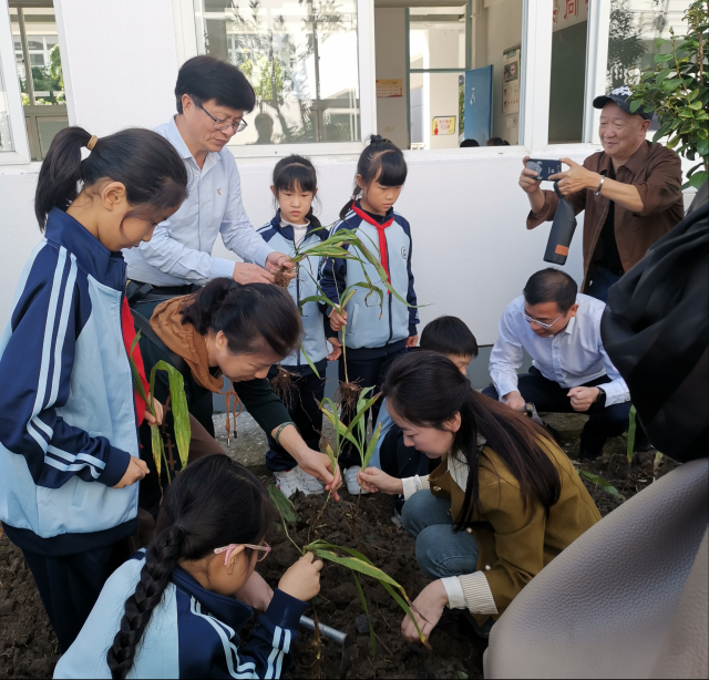 浙江温州中草药种植科普进校园在永嘉县枫林镇中心小学举行