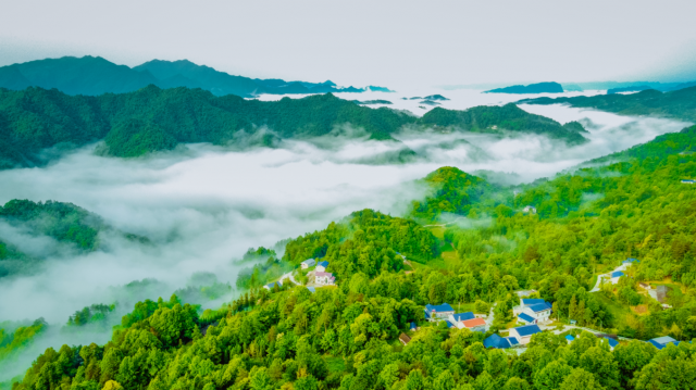 湖南中烟：脚踏沃野 筑梦乡村